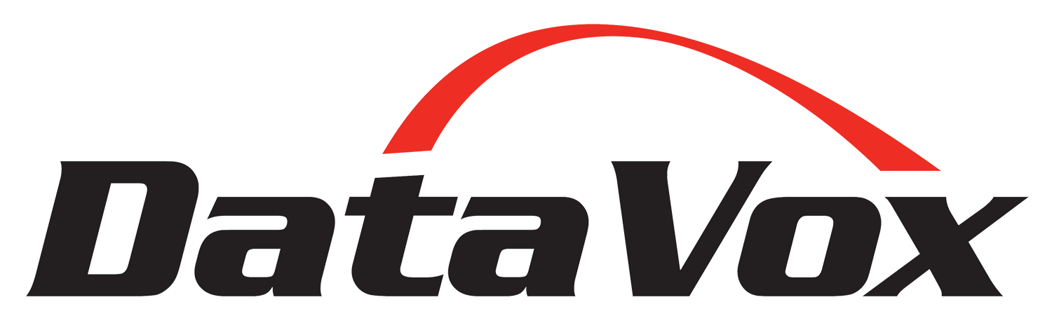 DataVox-logo-large.jpg